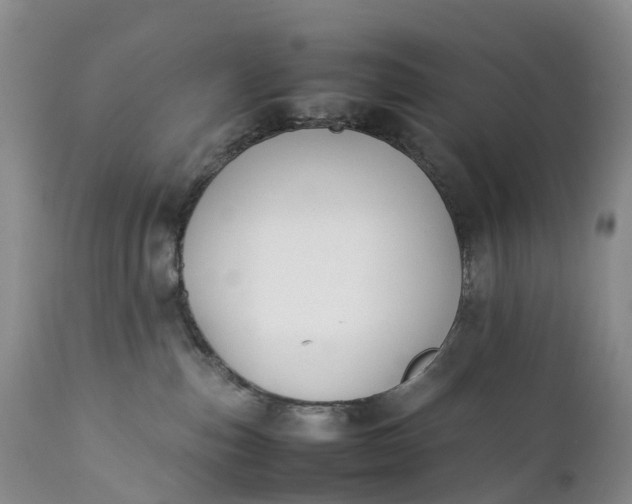 X0000111390187200907241343