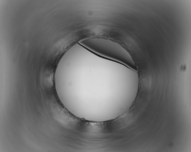 X0000111390188200907241343