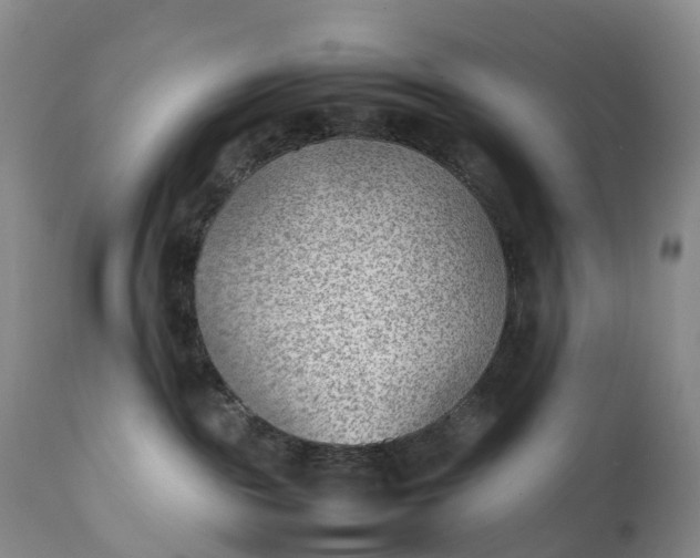 X0000111390189200907241343