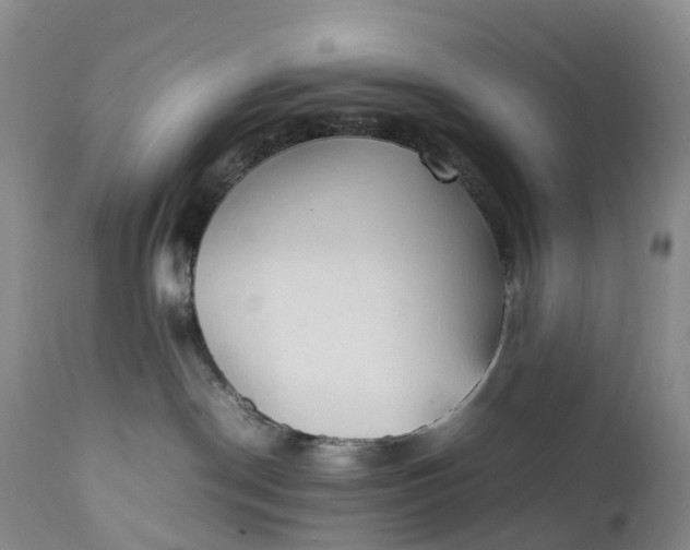 X0000111390190200907241343