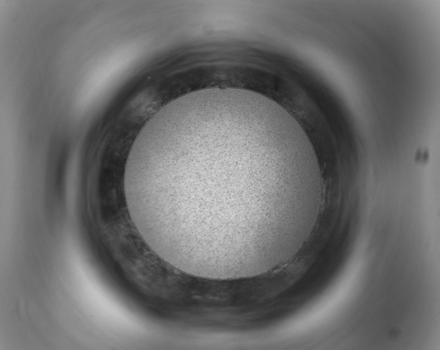 X0000111390191200907241343