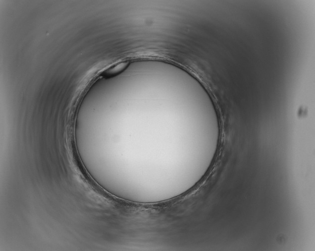 X0000111390193200907241342