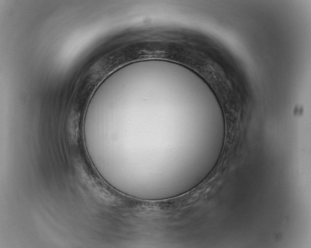 X0000111390194200907241342