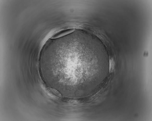 X0000111390195200907241342