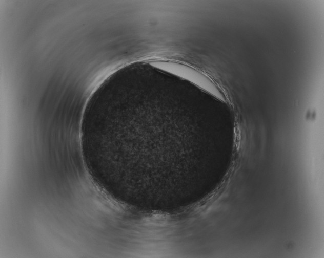 X0000111390196200907241342