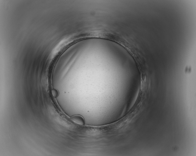 X0000111390198200907241342