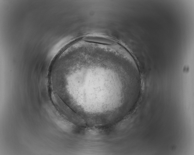 X0000111390199200907241342