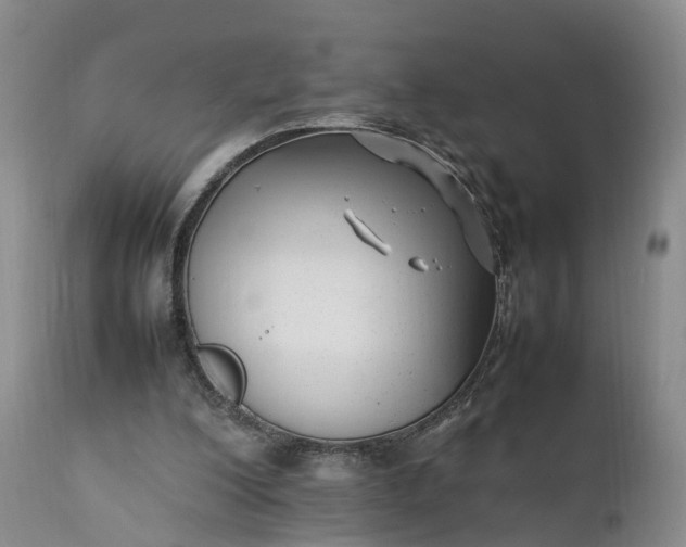 X0000111390200200907241342