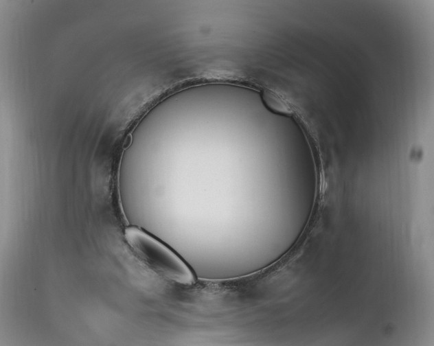 X0000111390201200907241342