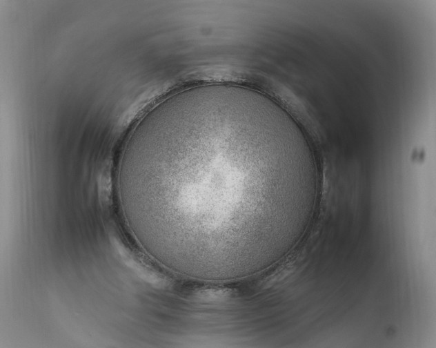 X0000111390202200907241342