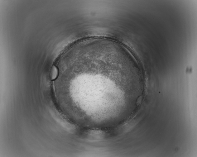 X0000111390203200907241342