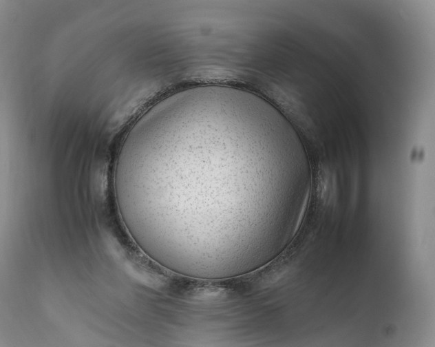 X0000111390206200907241342