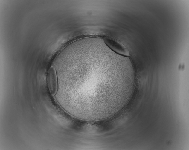 X0000111390207200907241342