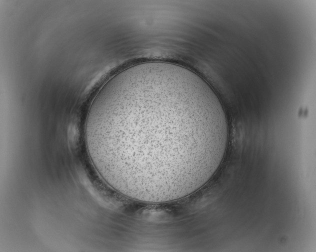 X0000111390208200907241342