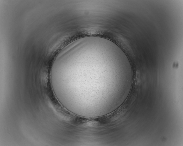 X0000111390210200907241342