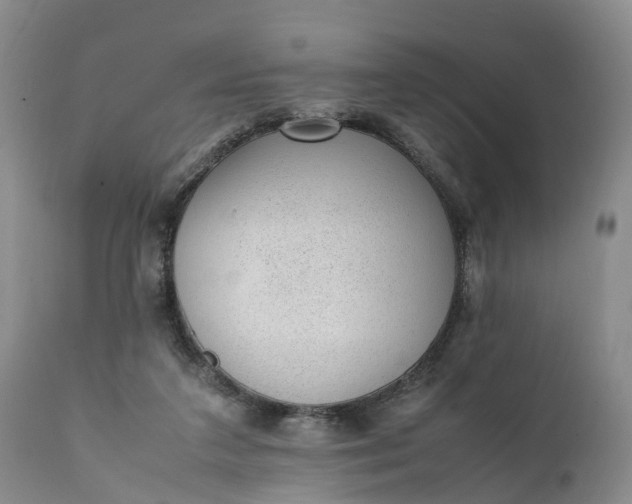 X0000111390211200907241342