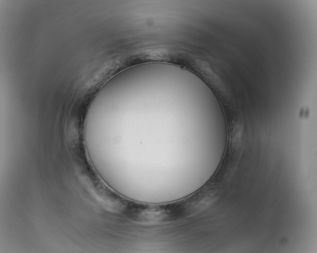 X0000111390213200907241342