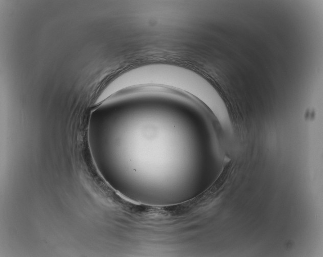 X0000111390215200907241342