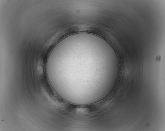 X0000111390216200907241342