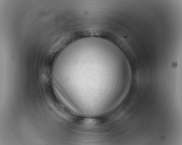 X0000111390218200907241341