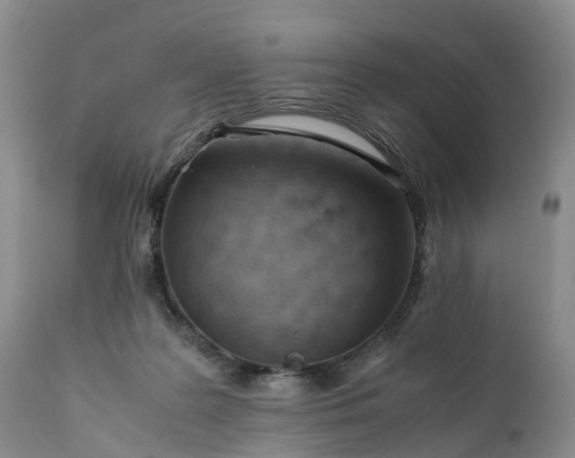 X0000111390219200907241341