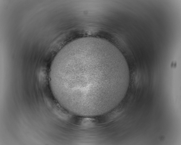 X0000111390222200907241341