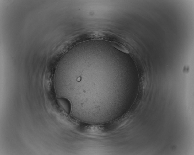 X0000111390223200907241341