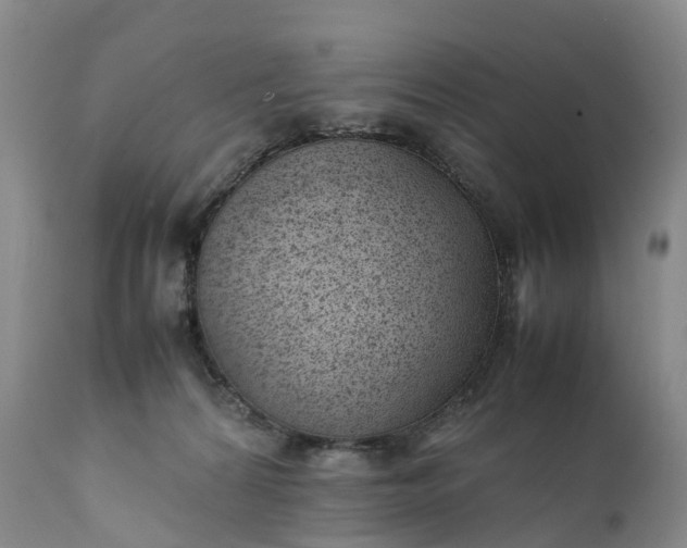 X0000111390224200907241341