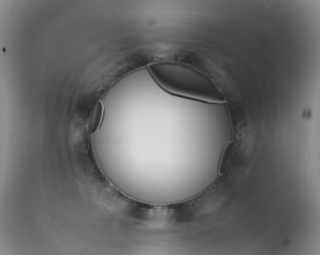 X0000111390225200907241341