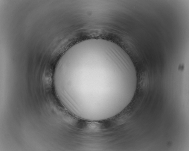 X0000111390226200907241341