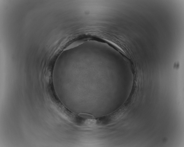 X0000111390227200907241341