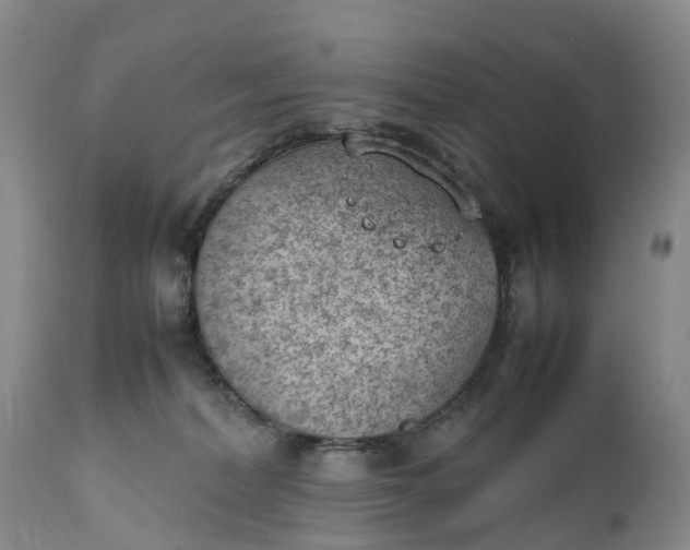 X0000111390228200907241341