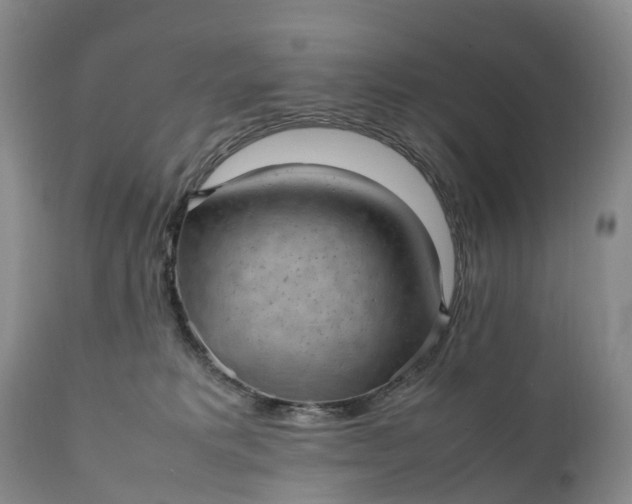 X0000111390229200907241341