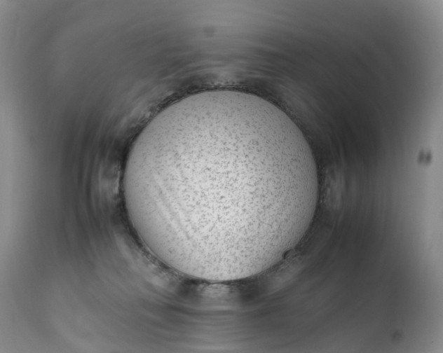 X0000111390230200907241341