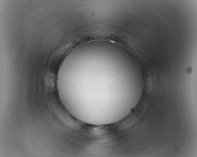 X0000111390232200907241341