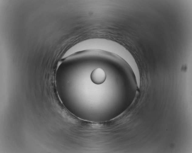 X0000111390233200907241341