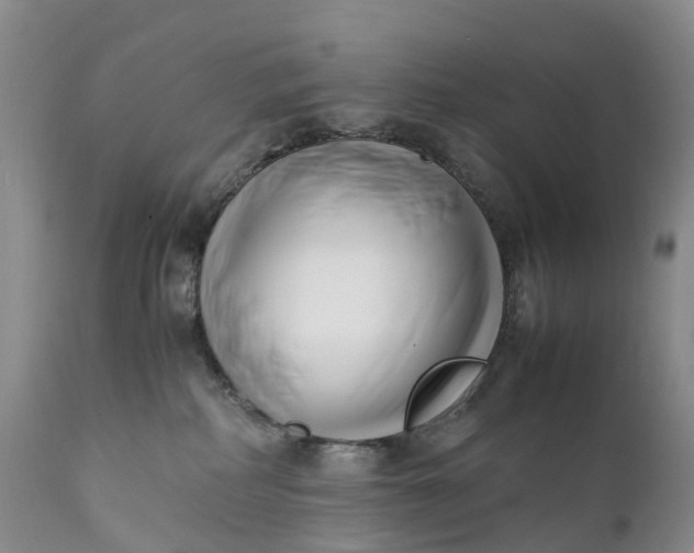 X0000111390234200907241341