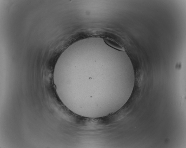 X0000111390235200907241341