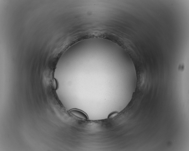 X0000111390236200907241341