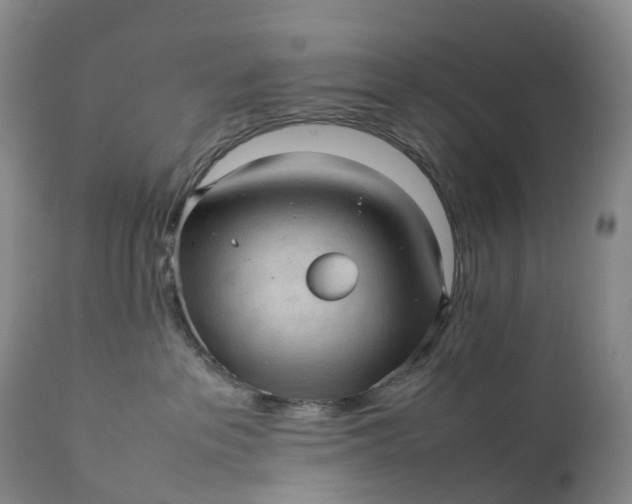 X0000111390237200907241341