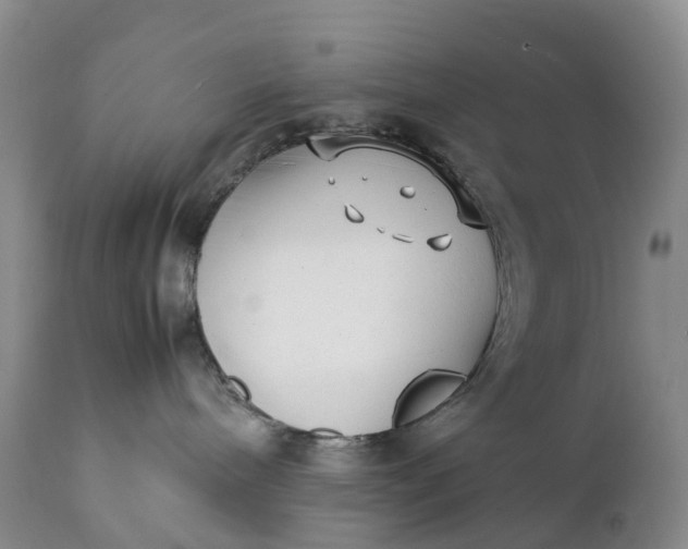 X0000111390240200907241341