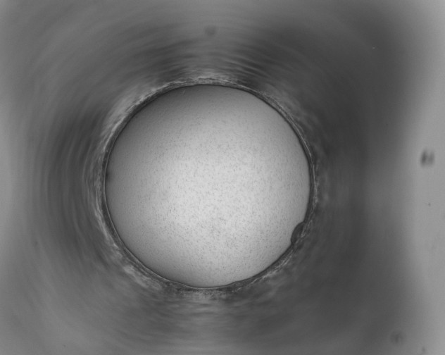 X0000111390241200907241340