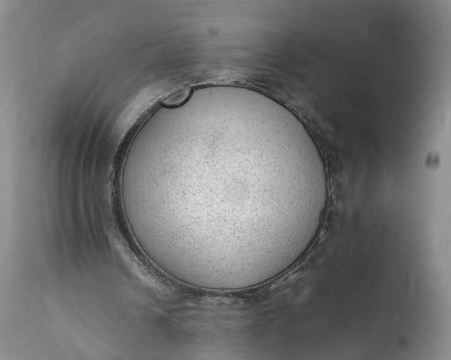 X0000111390242200907241340