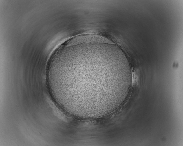 X0000111390243200907241340