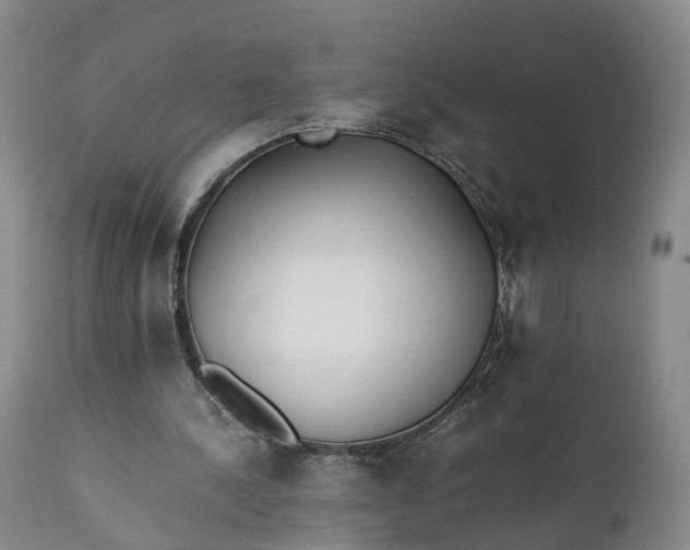 X0000111390244200907241340