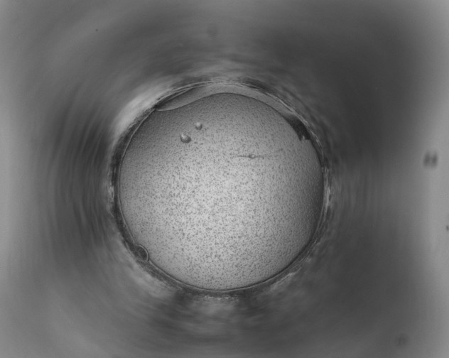 X0000111390245200907241340