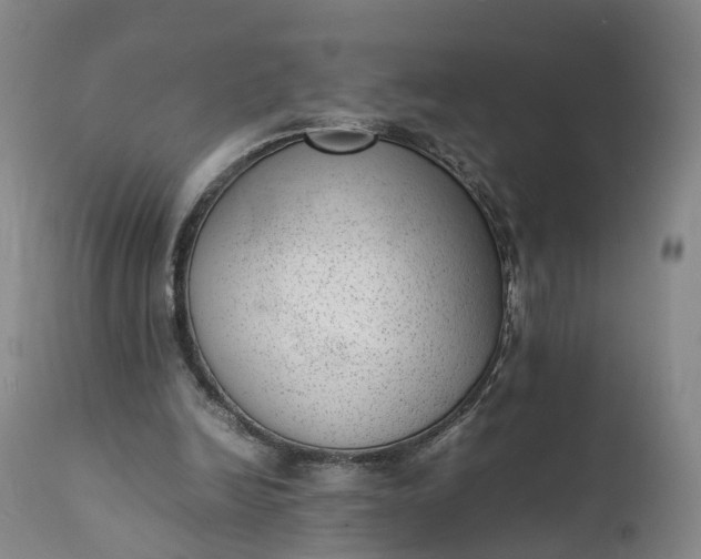 X0000111390246200907241340