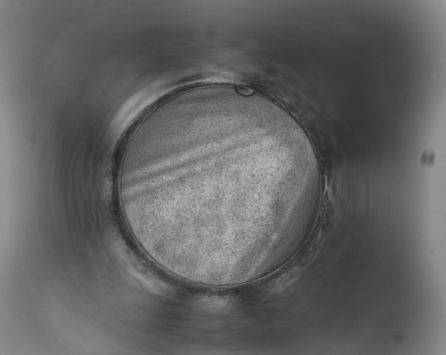 X0000111390247200907241340