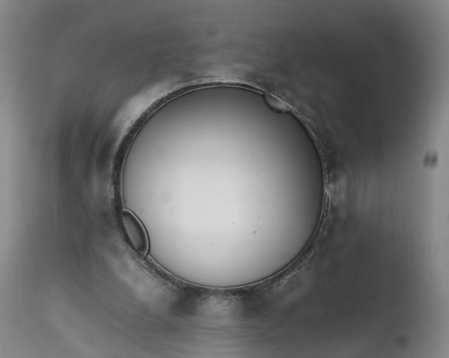 X0000111390248200907241340