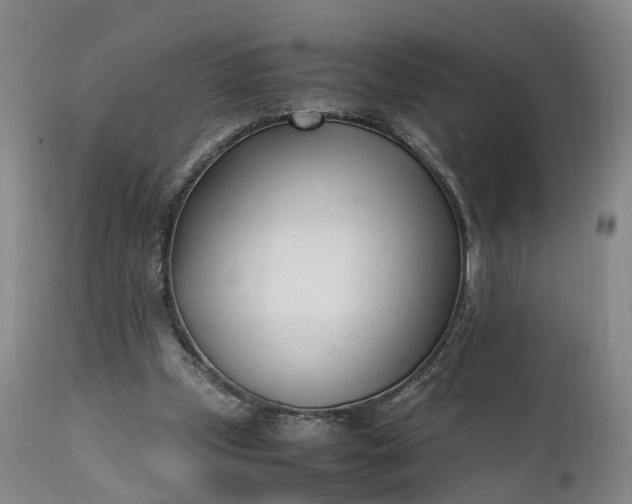 X0000111390249200907241340